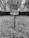 A disc golf basket stands in an outdoor setting, surrounded by leafless trees and a grassy area. Attached to the basket is a wooden arrow sign pointing with the words 'NEXT TEE'. The photo is in black and white, giving it a nostalgic feel.