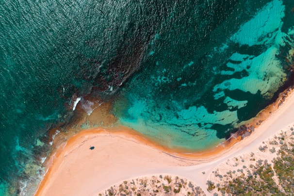 a rainbow over a beach