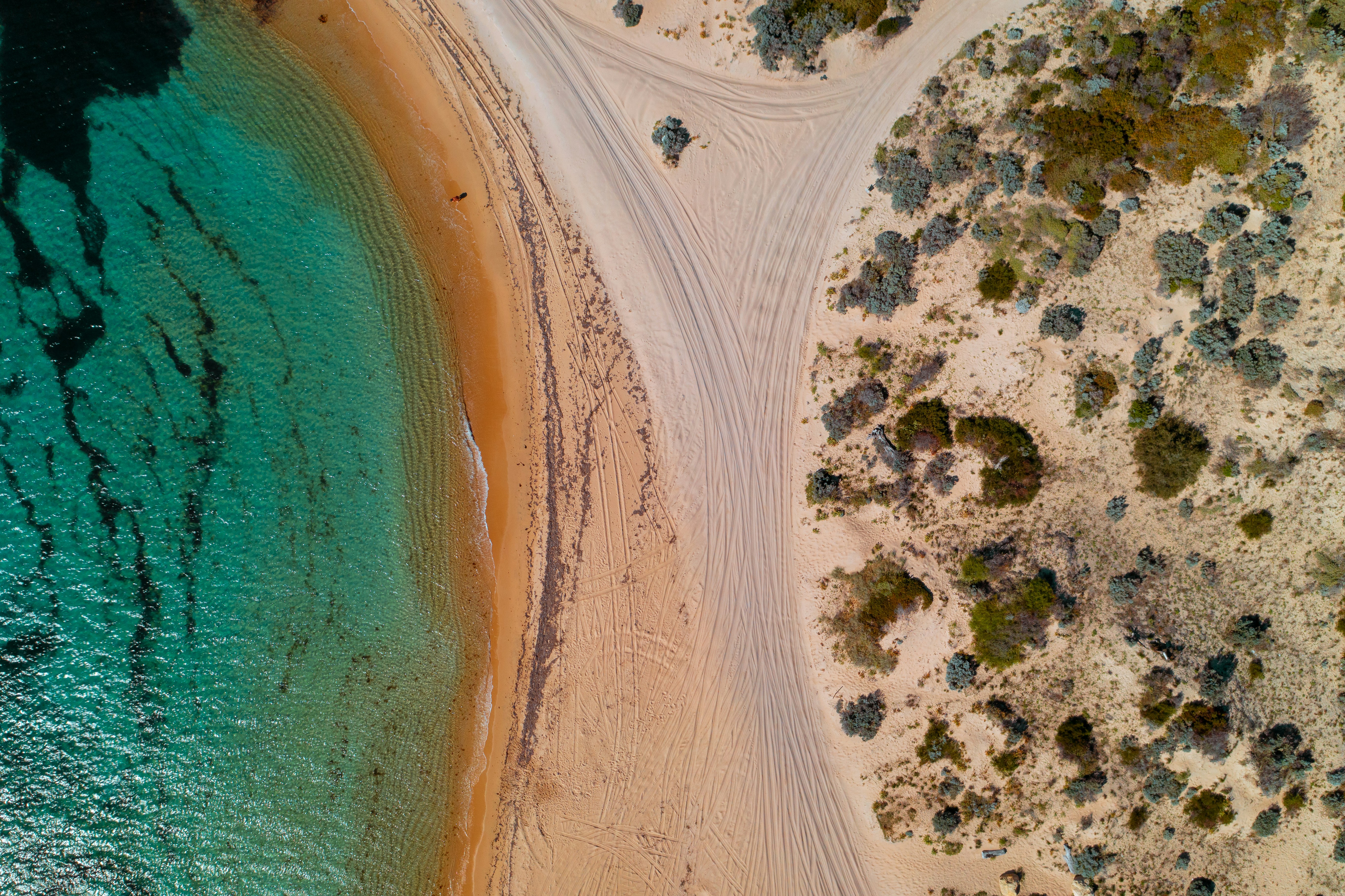 Photo by rhynophotography