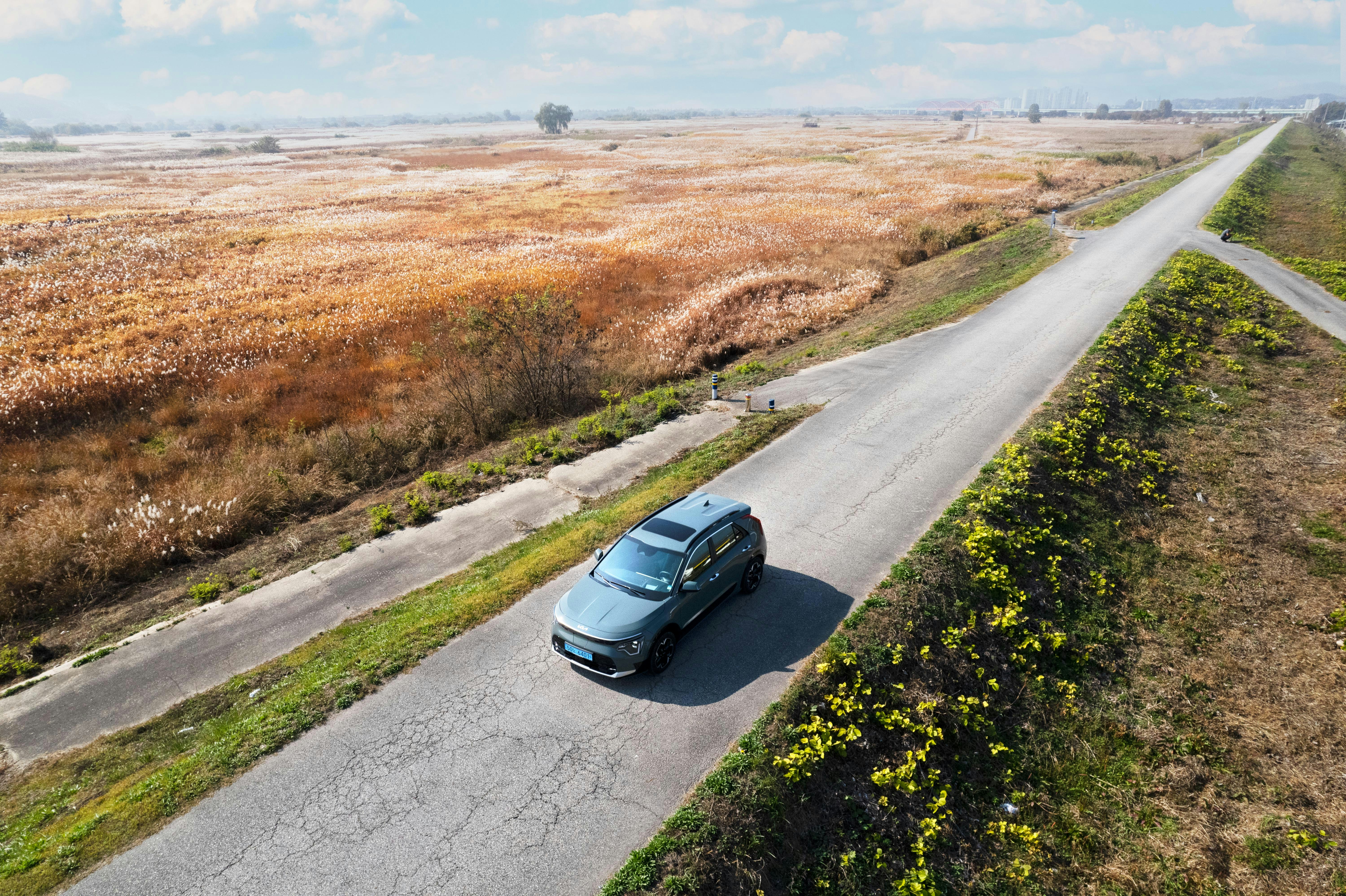 The Kia Niro EV cruising by a field of golden reeds