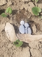 A collection of smooth gray stones is artistically arranged on dry soil, resembling a family or group. Nearby, fresh green leaves sprout from the earth. A piece of driftwood lies next to the stones, adding a rustic element to the composition.