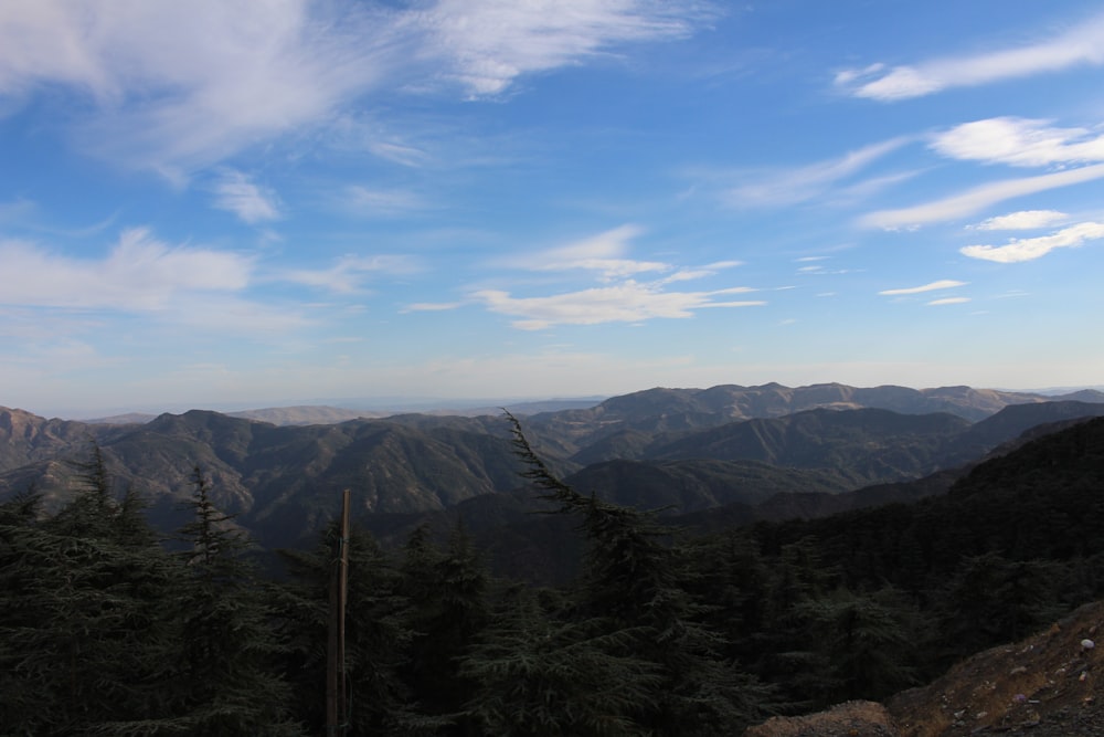 a landscape with trees and mountains