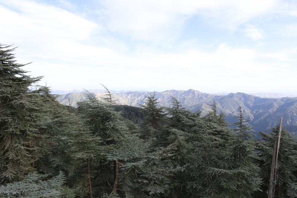 a view of a mountain range from a distance