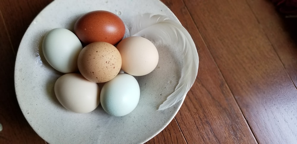 a plate of eggs