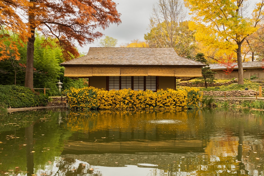 a house with a pond in front of it