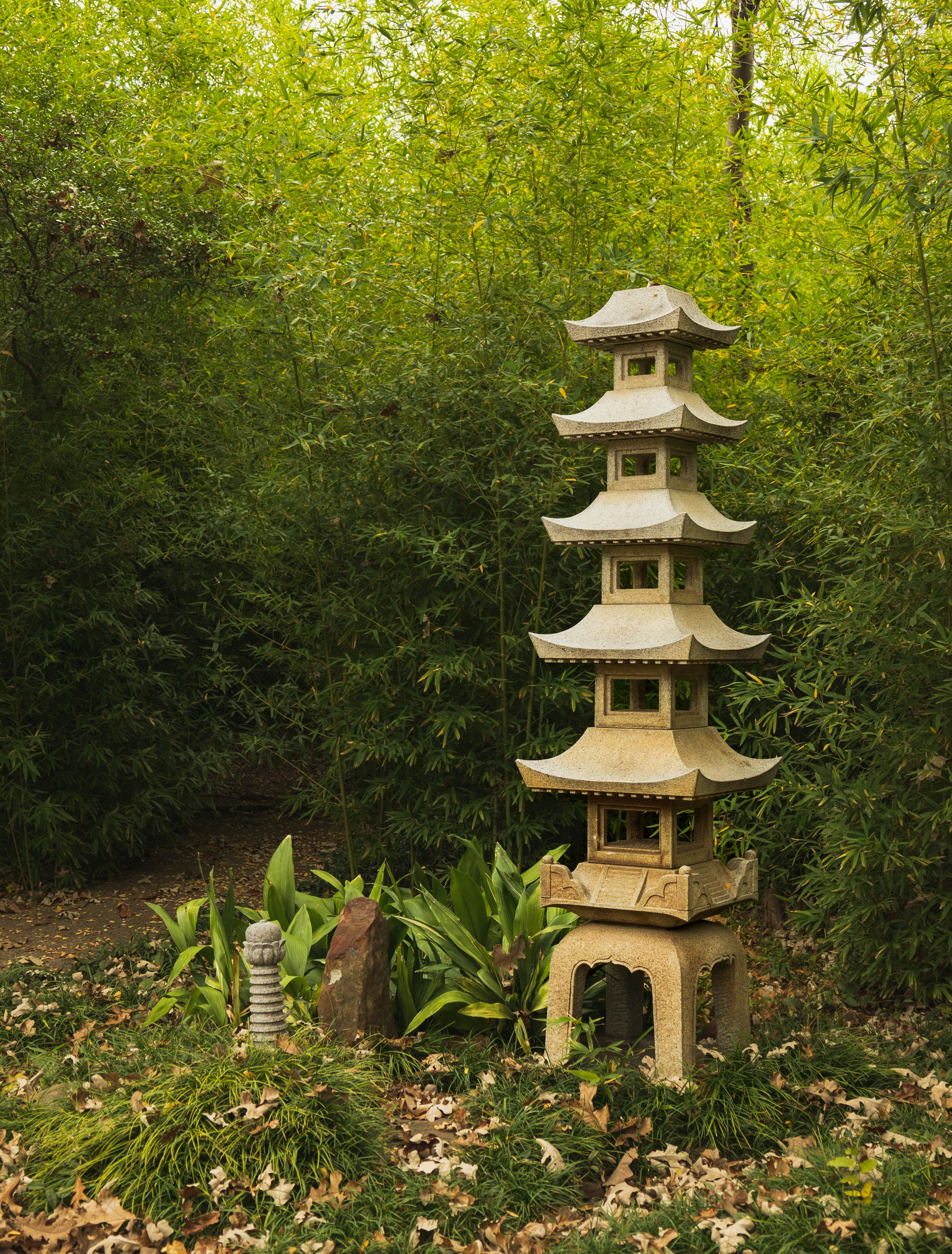 Photo by theboywiththecamera