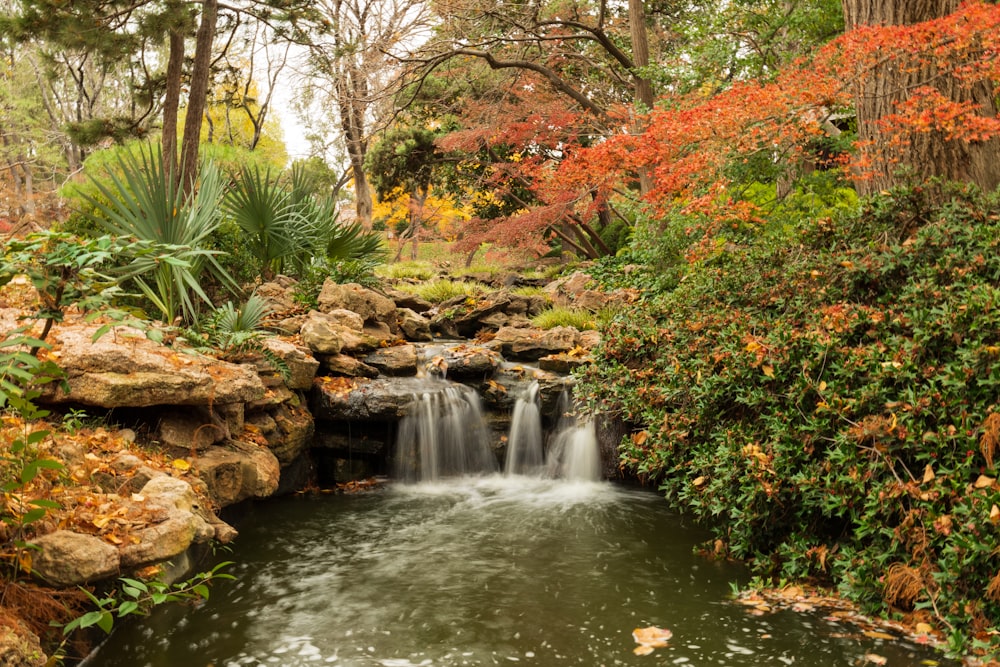 a small waterfall in a forest