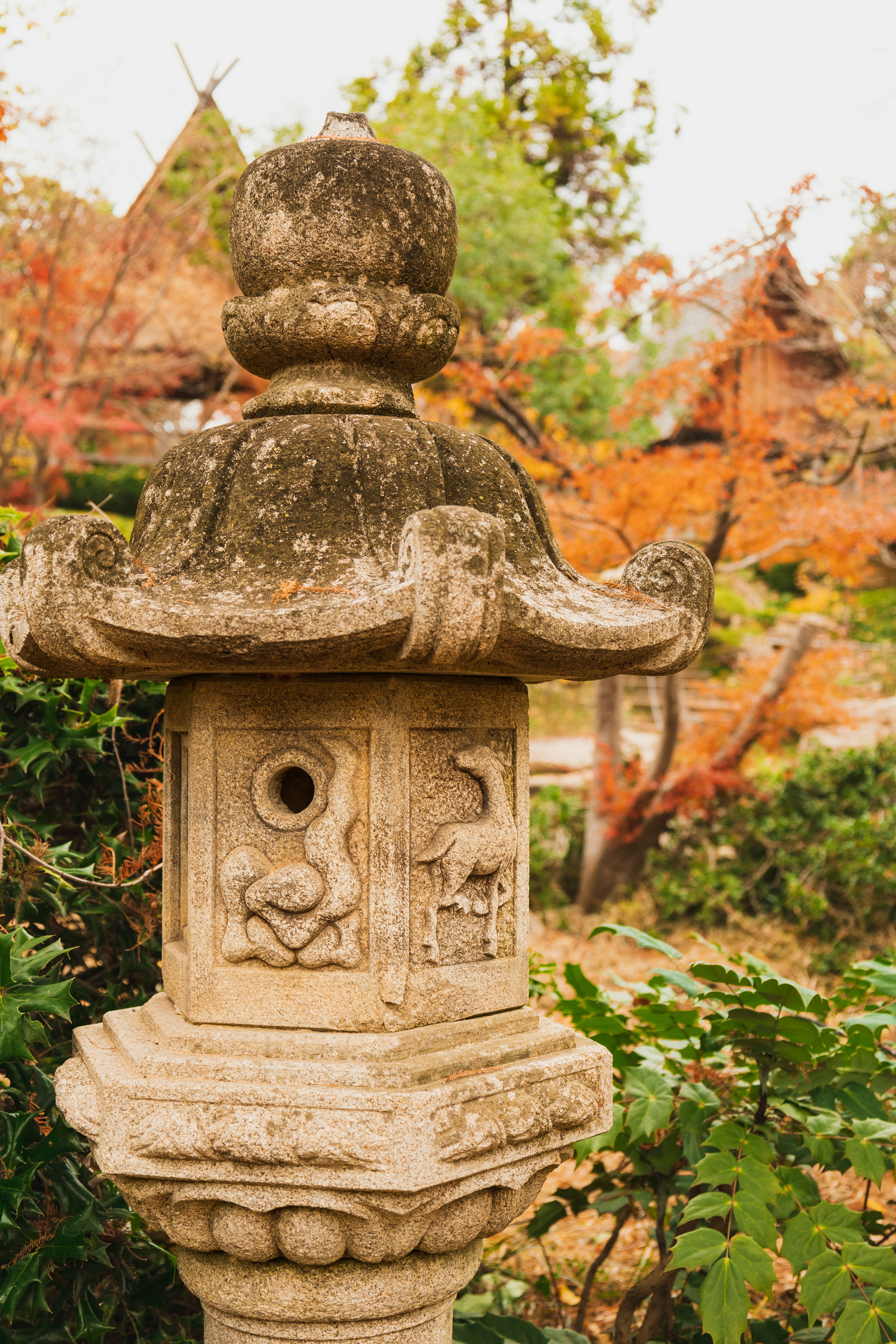 Photo by theboywiththecamera