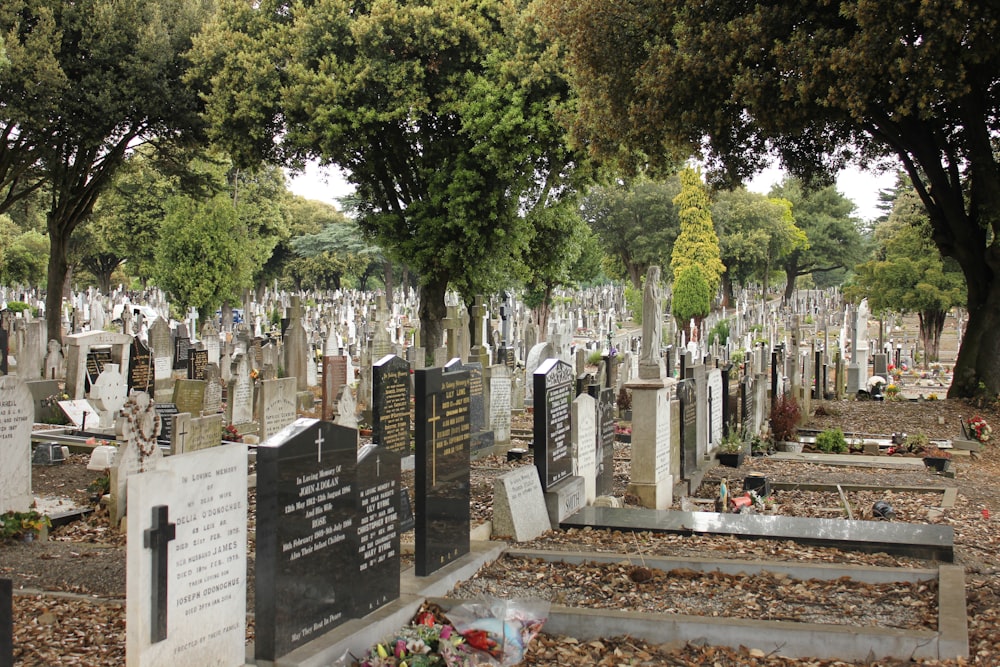 a cemetery with many gravestones