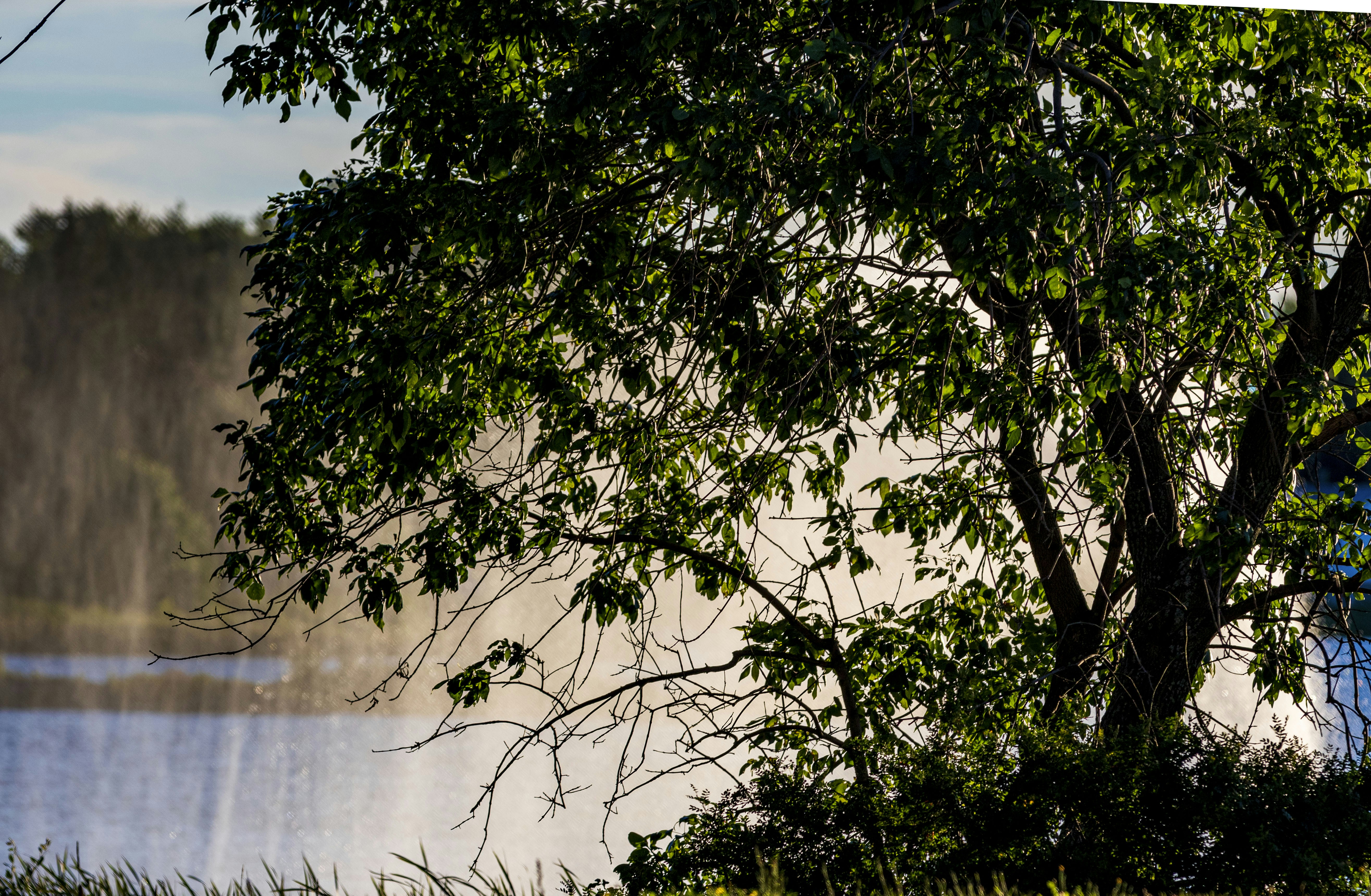 Photo by camerauthor