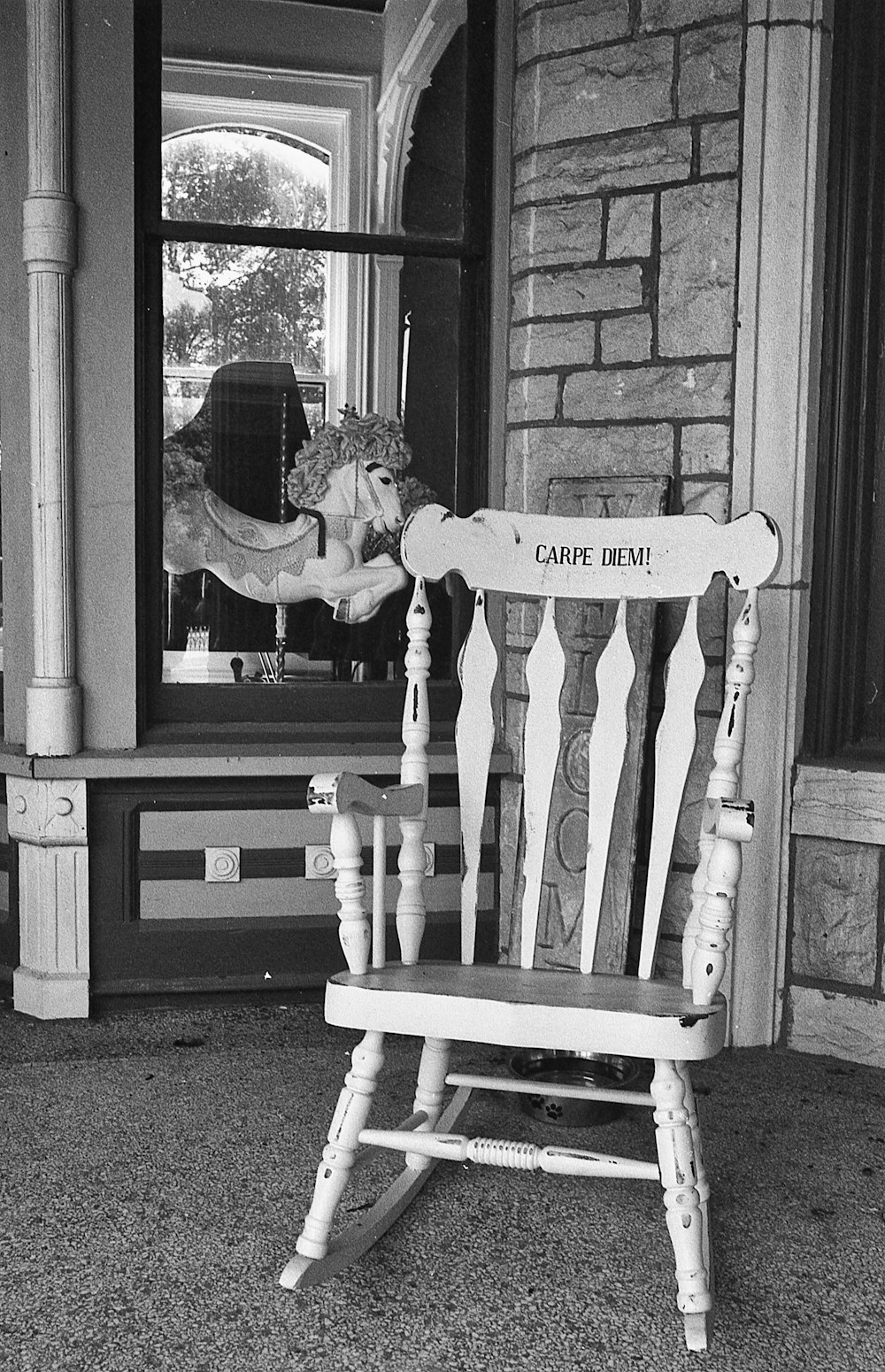 a dog sitting in a chair