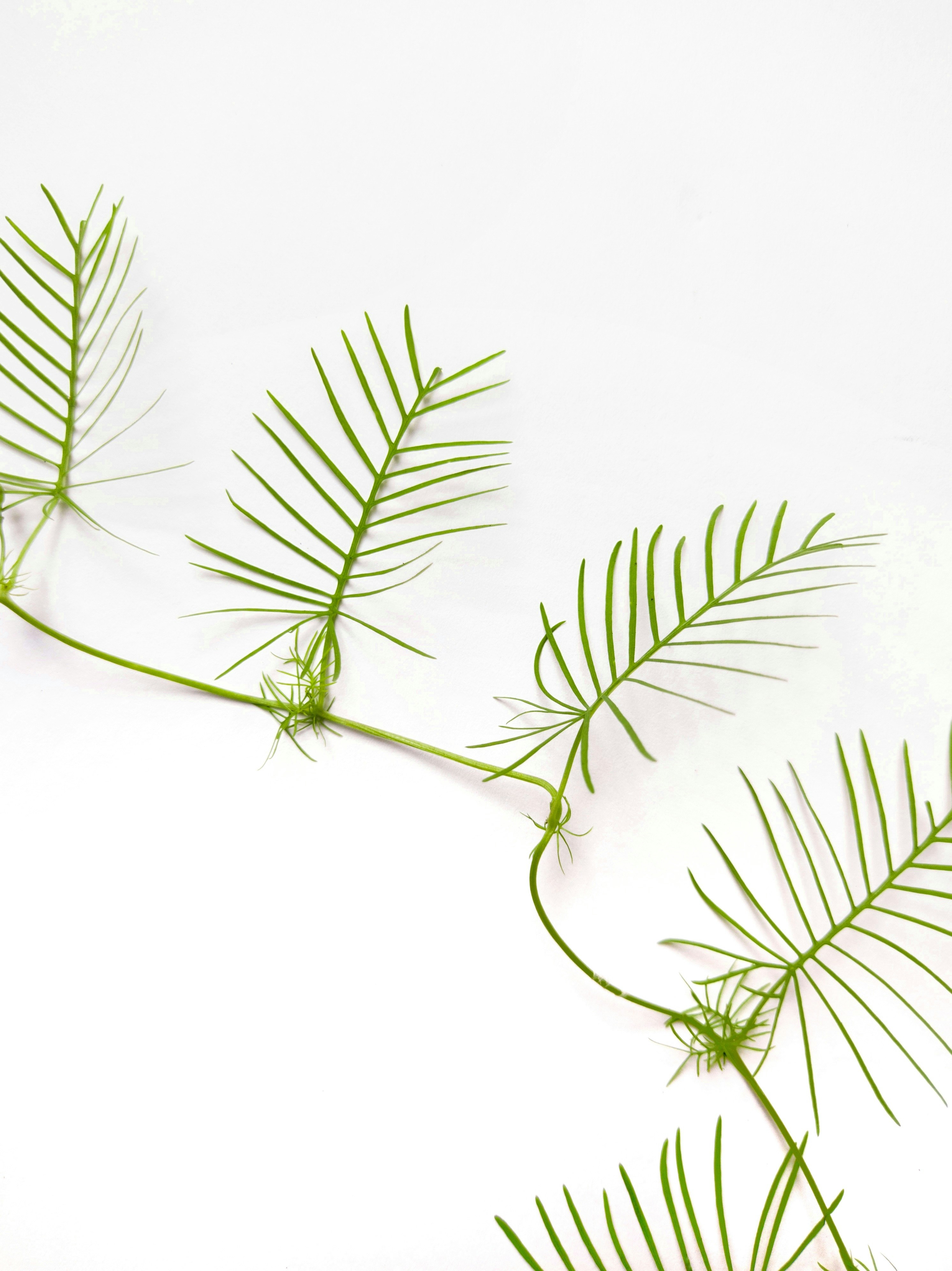 Photo by sanketjawali