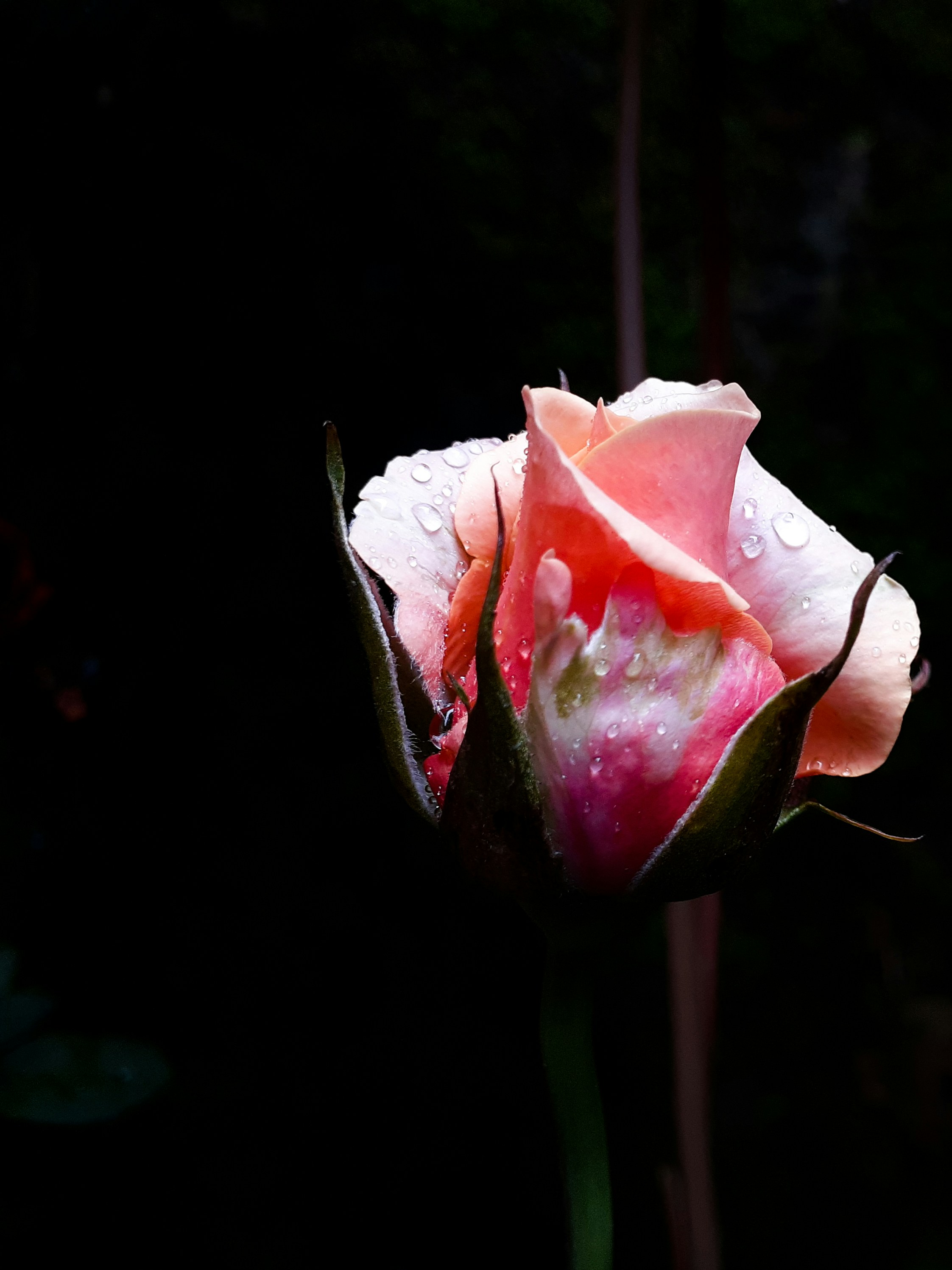 Photo by lucky_alamanda