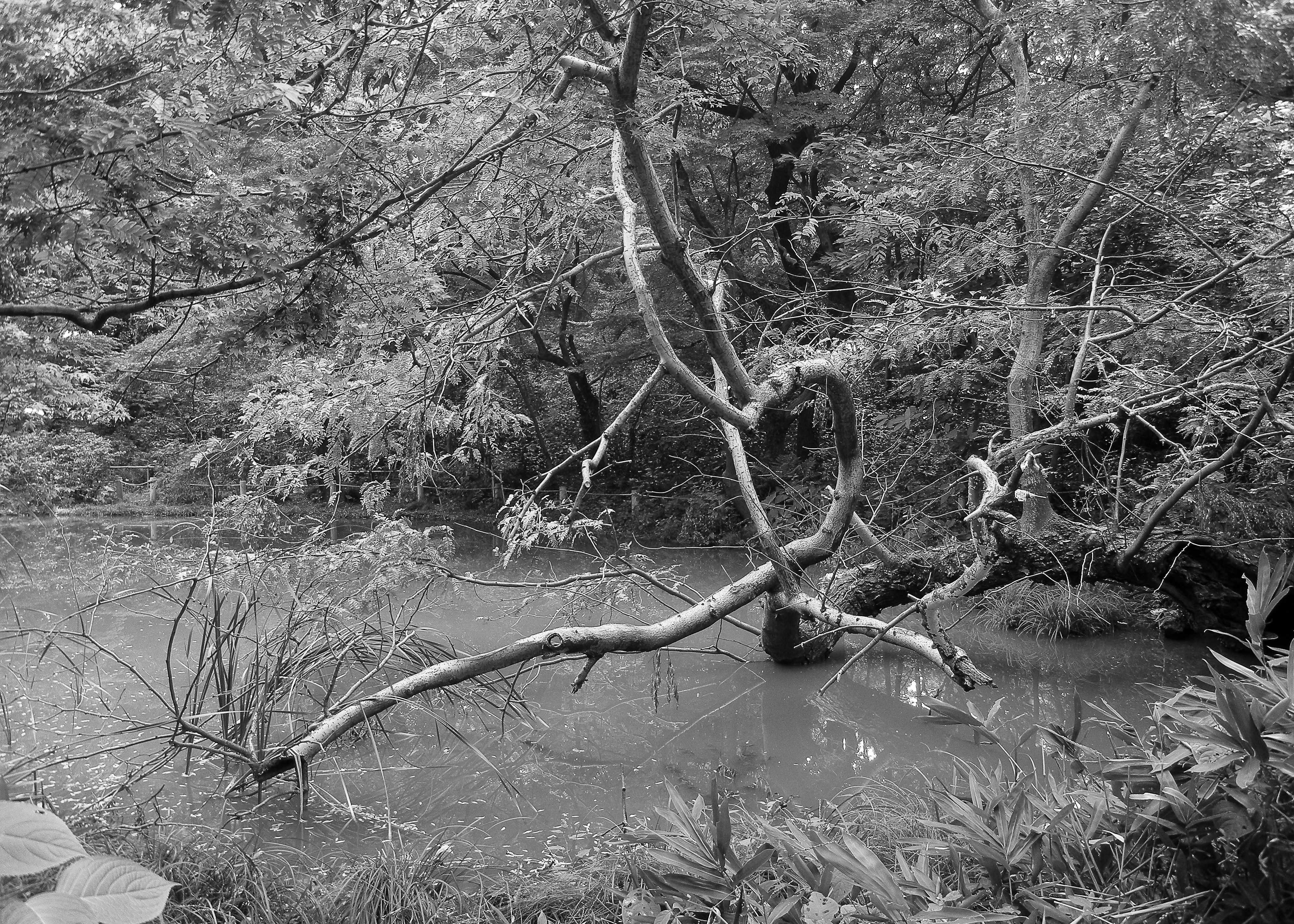 Photo by griffinquinn