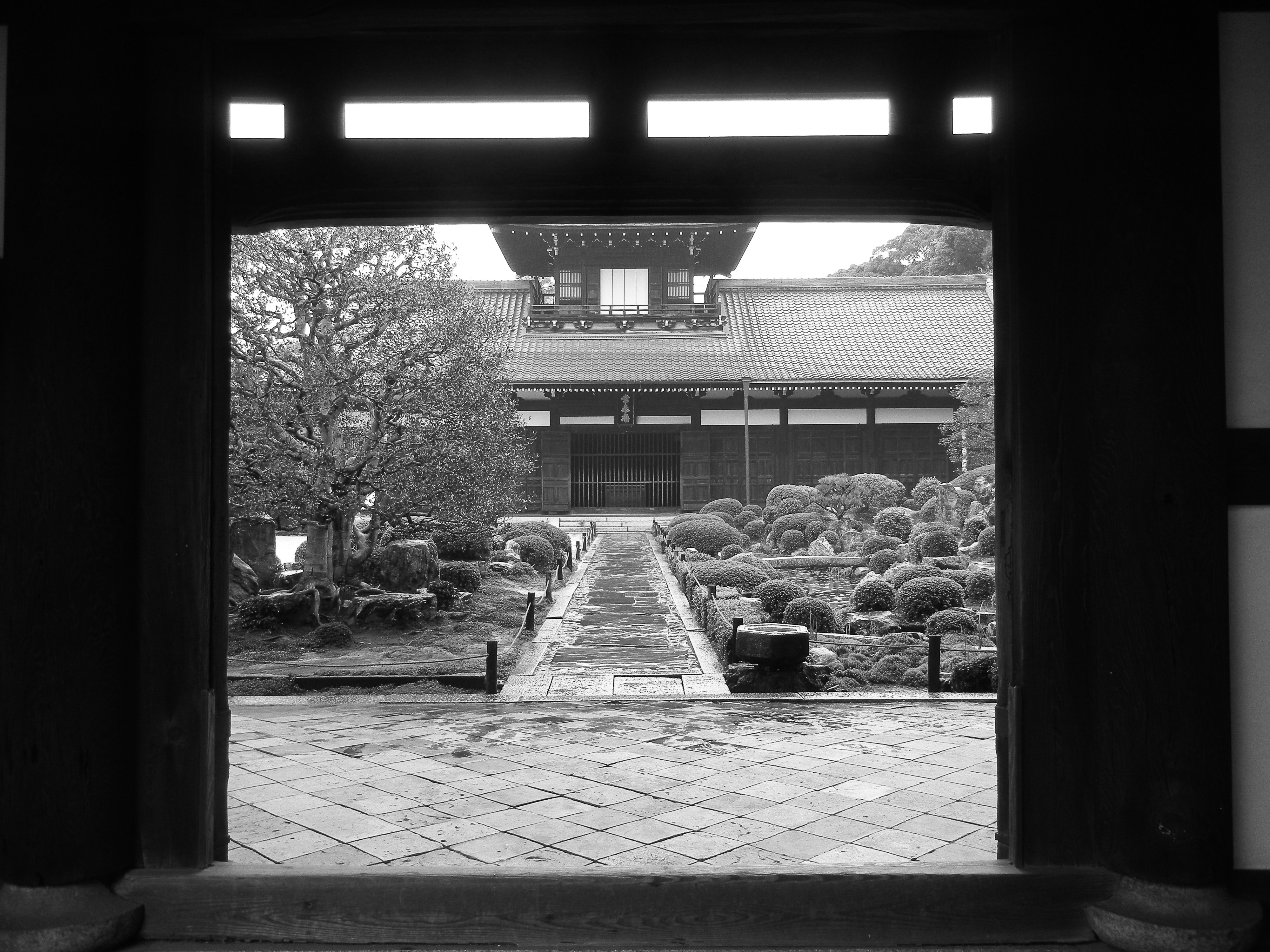 Photo by griffinquinn