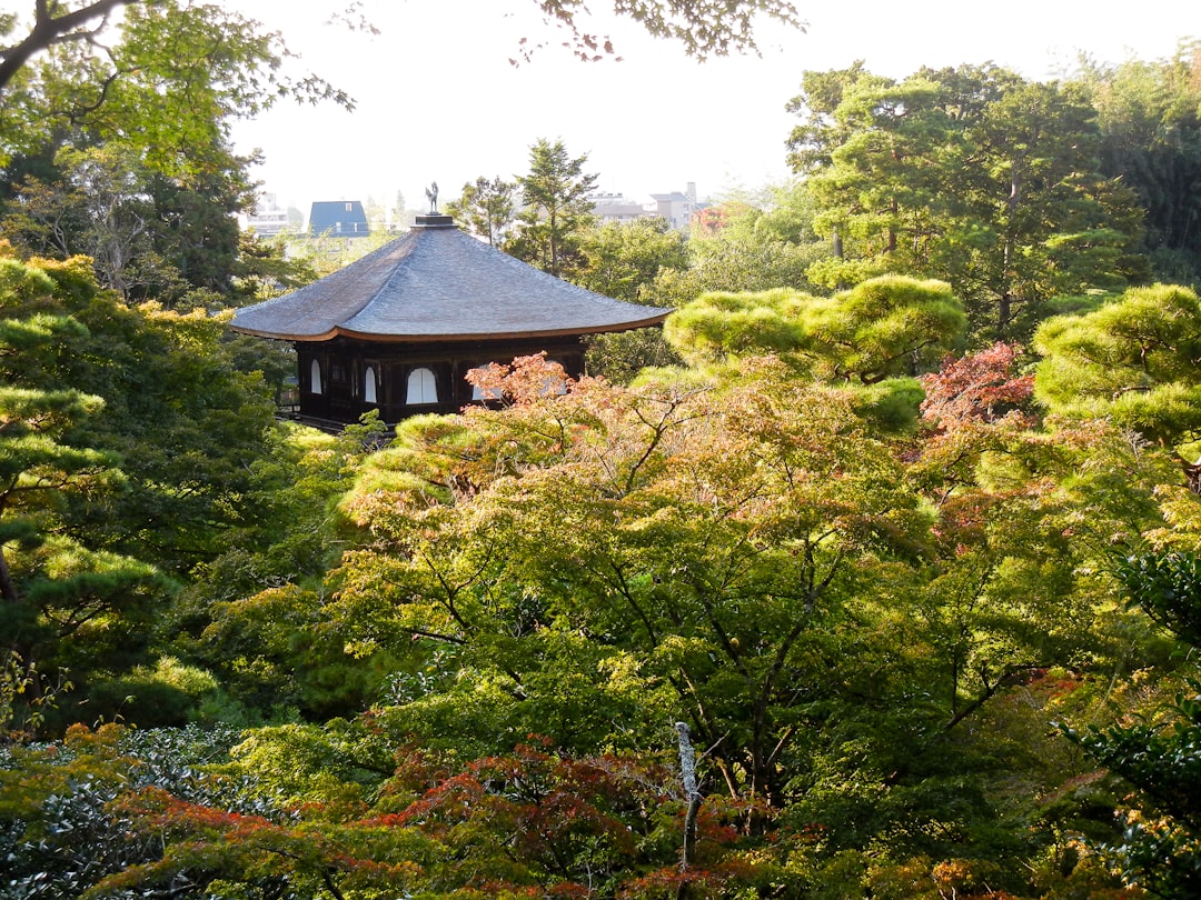 a house surrounded by trees,