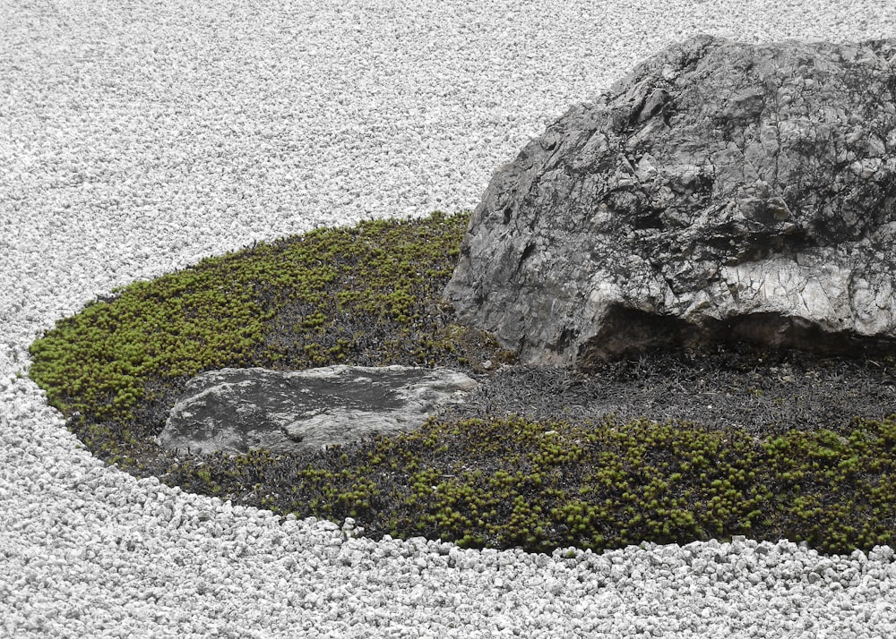 a rock formation with grass and rocks