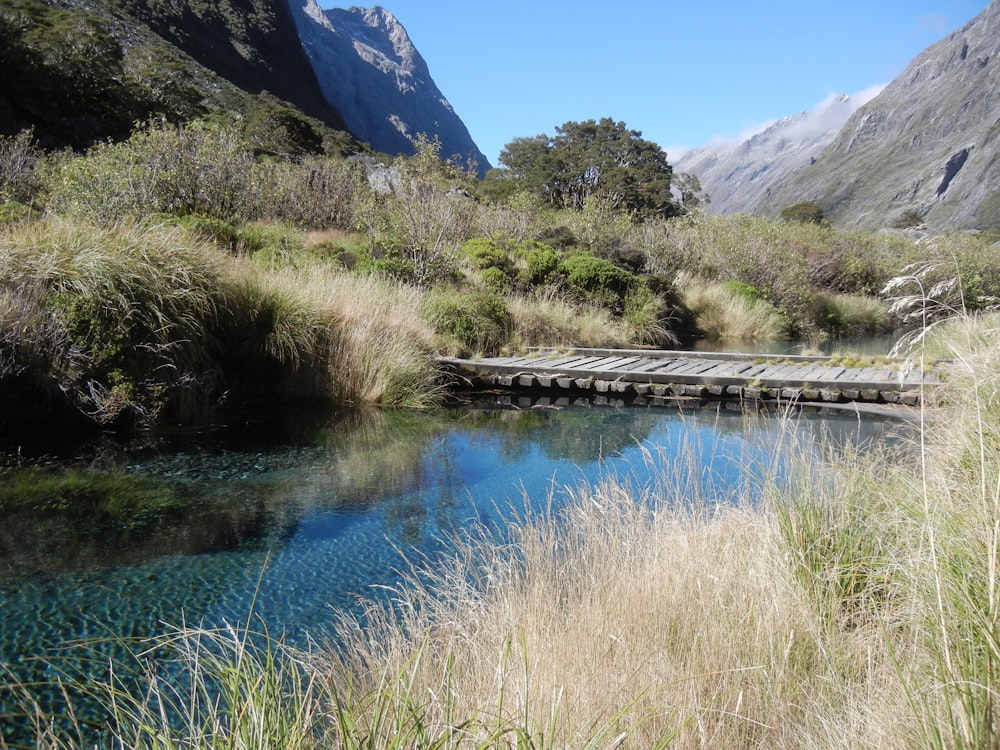 a small bridge over a river