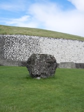 a rock on the grass