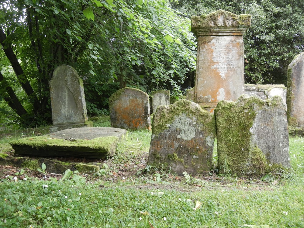 a group of stones in a grassy area