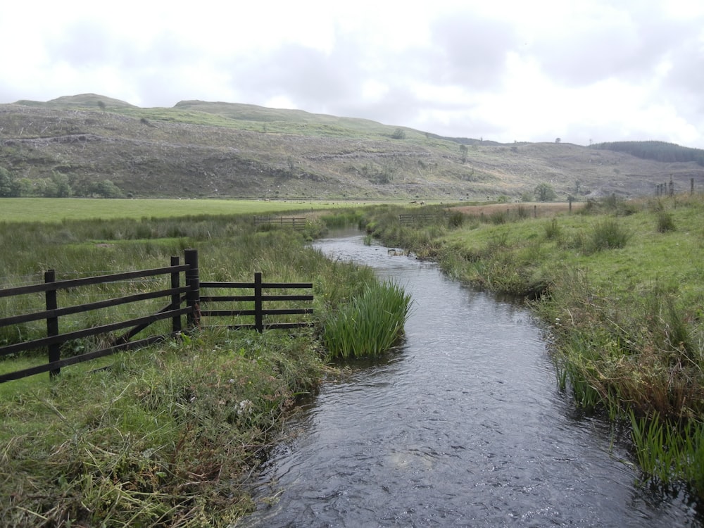 a stream running through a grassy area