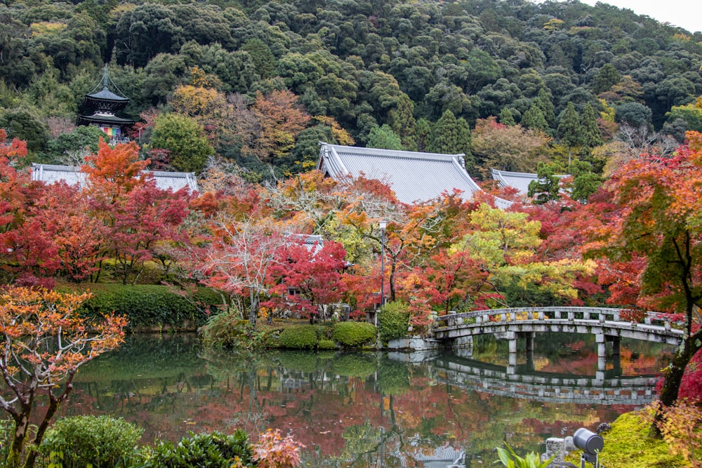 a bridge over a river with trees around it