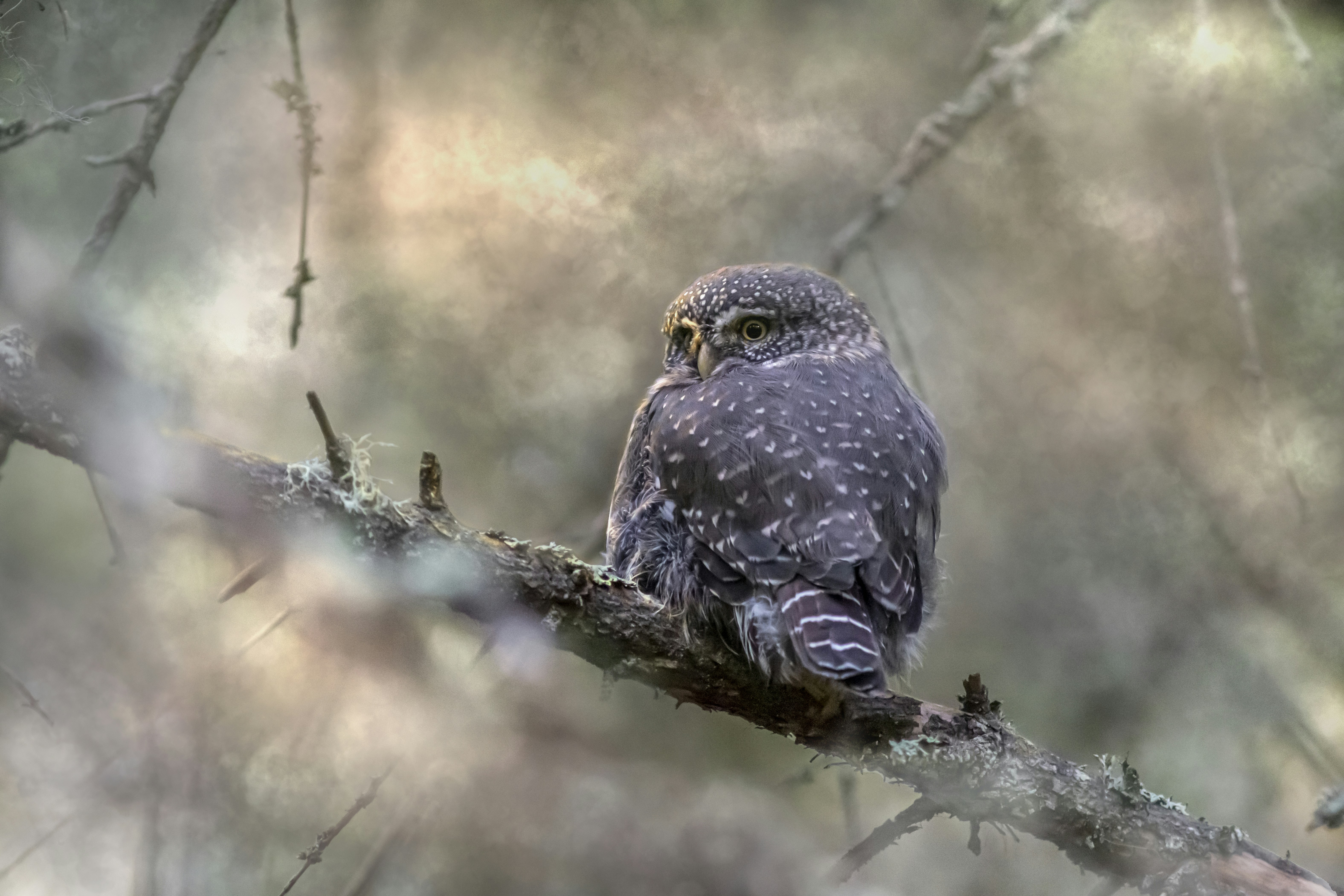 Photo by erik_karits