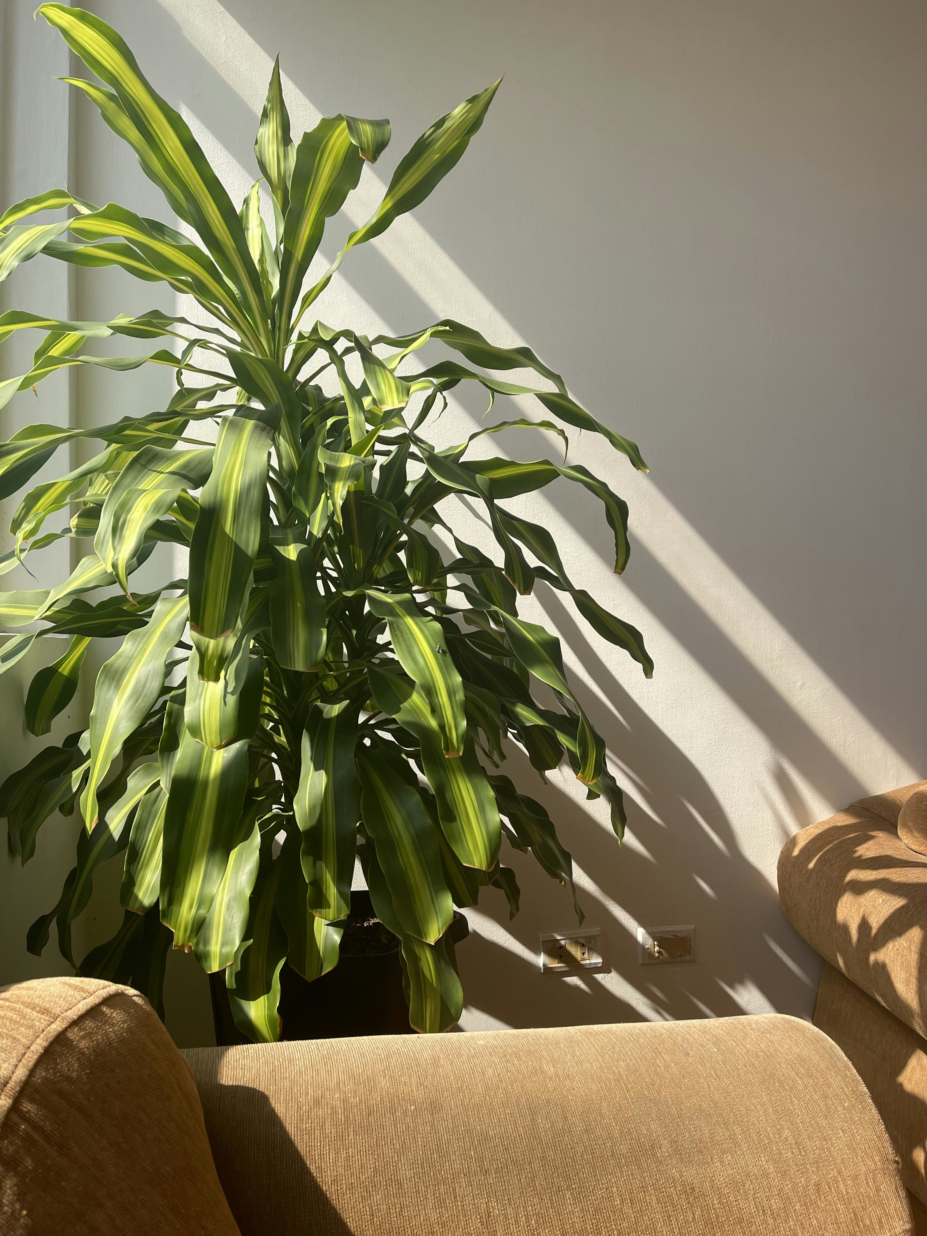 Photo by drpauldelgado