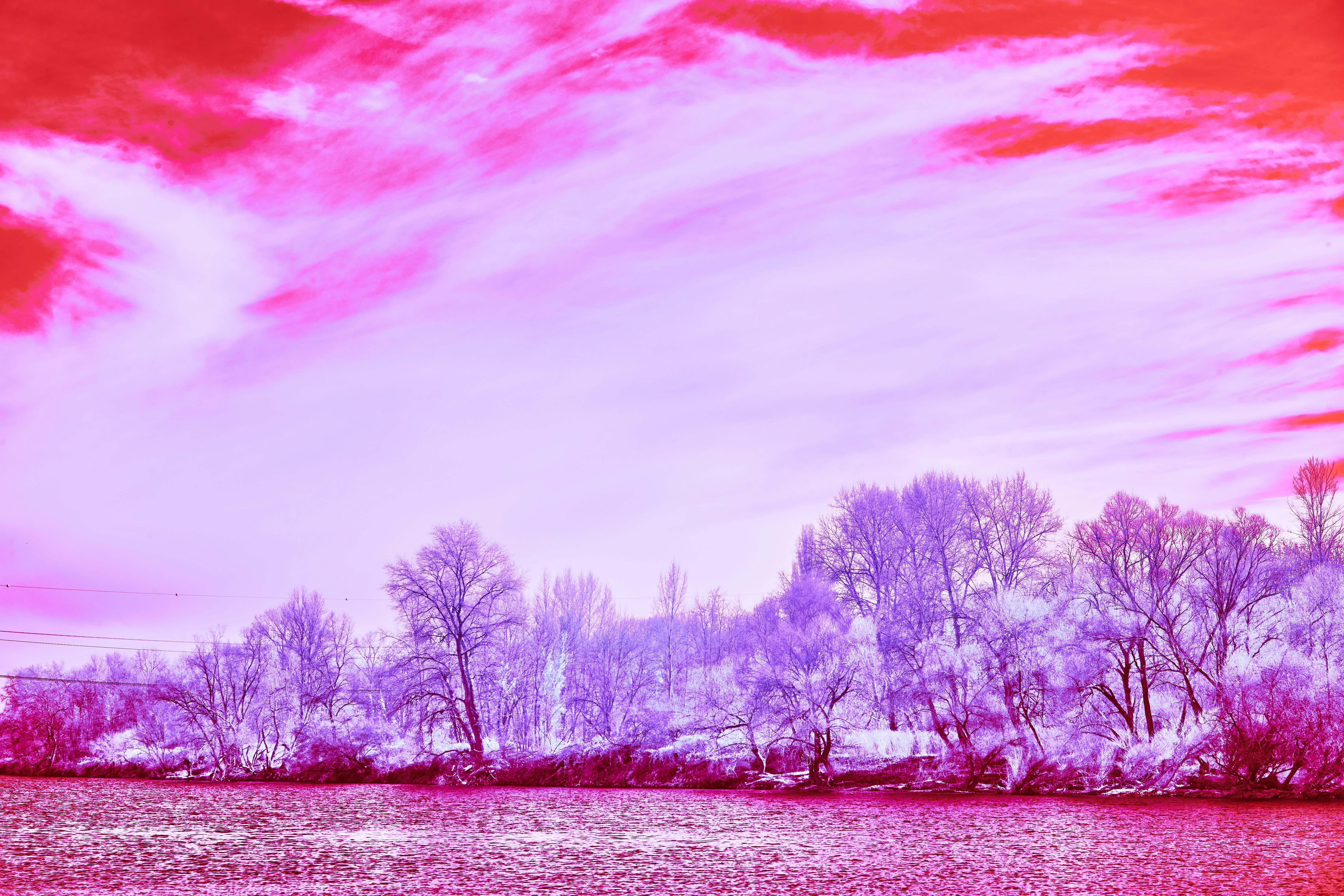 Photo by wolfgang_hasselmann