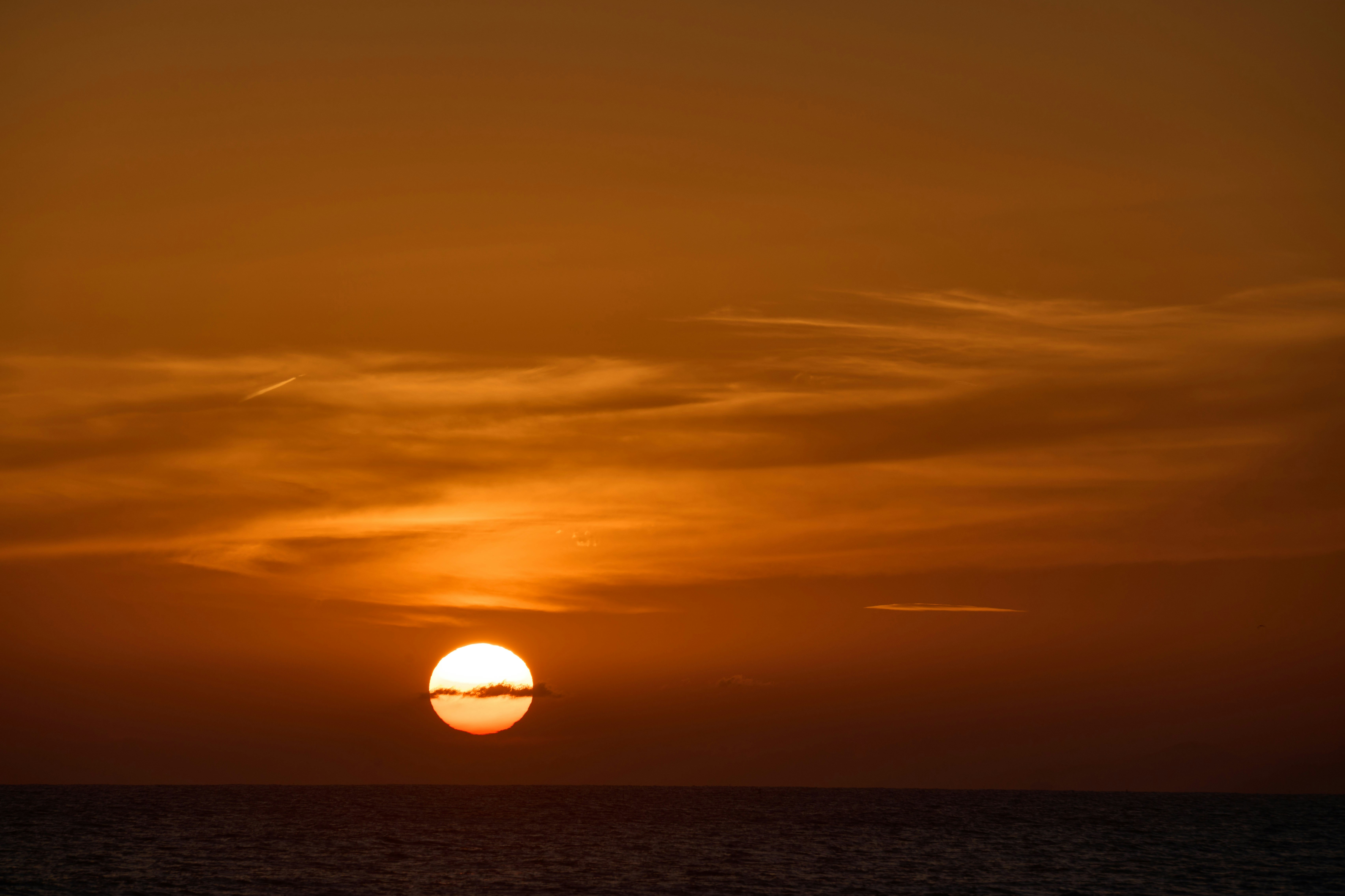 Photo by wolfgang_hasselmann