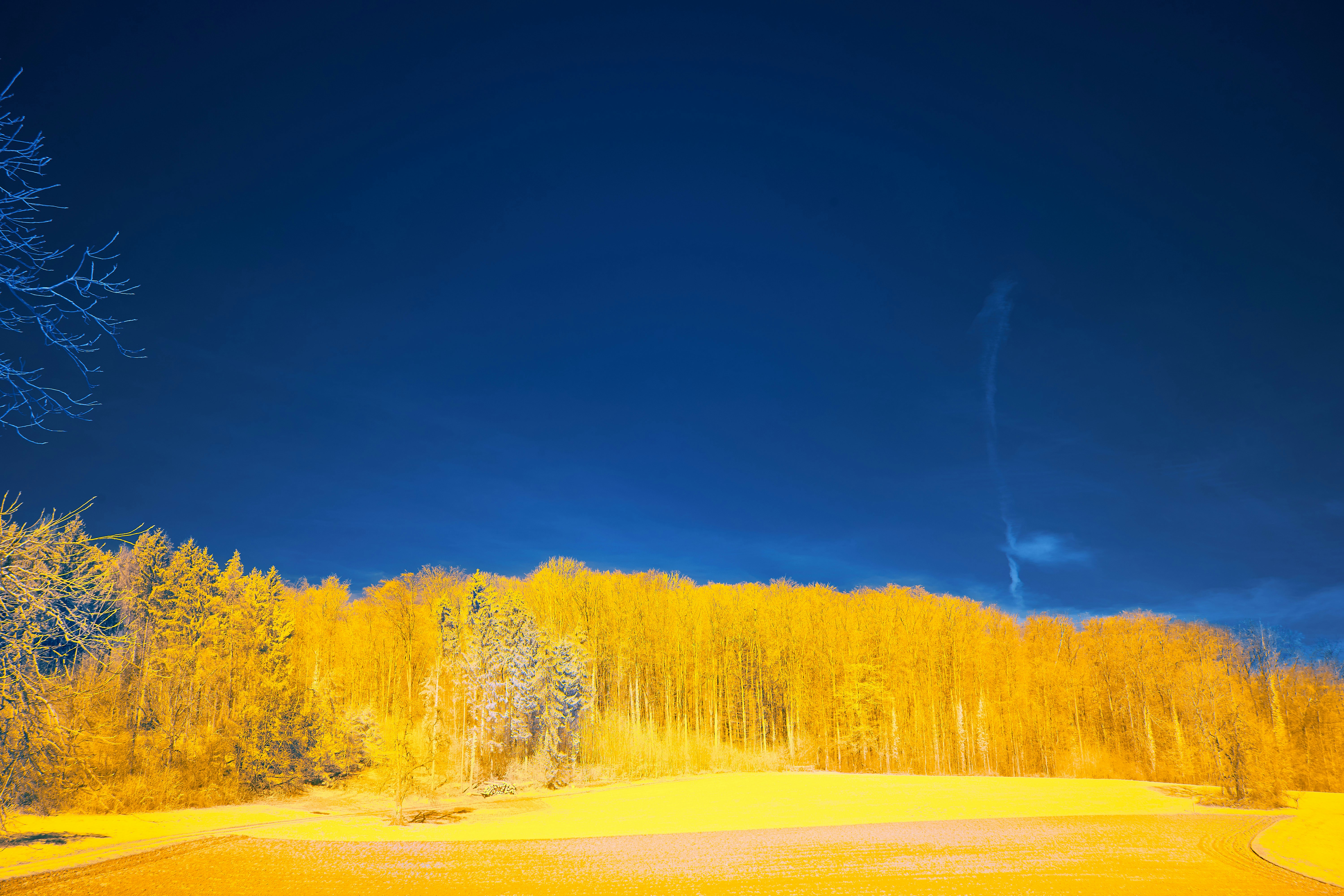 Photo by wolfgang_hasselmann