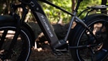 A close-up view of an electric bike with the brand name 'Fahrrbike' on the battery compartment. The bike features thick tires and a robust frame, set against a backdrop of a wooded area with dappled sunlight filtering through the trees.