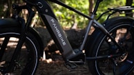 A close-up view of an electric bike with the brand name 'Fahrrbike' on the battery compartment. The bike features thick tires and a robust frame, set against a backdrop of a wooded area with dappled sunlight filtering through the trees.