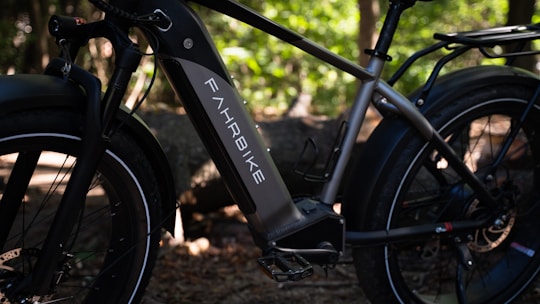A close-up view of an electric bike with the brand name 'Fahrrbike' on the battery compartment. The bike features thick tires and a robust frame, set against a backdrop of a wooded area with dappled sunlight filtering through the trees.