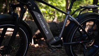A close-up view of an electric bike with the brand name 'Fahrrbike' on the battery compartment. The bike features thick tires and a robust frame, set against a backdrop of a wooded area with dappled sunlight filtering through the trees.