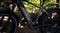 A close-up view of an electric bike with the brand name 'Fahrrbike' on the battery compartment. The bike features thick tires and a robust frame, set against a backdrop of a wooded area with dappled sunlight filtering through the trees.