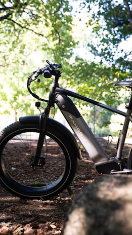 Allegro ebike