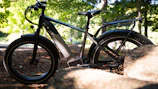 A sleek e-bike parked on a forest trail with sunlight filtering through the trees.