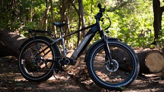 a black bicycle parked in the woods