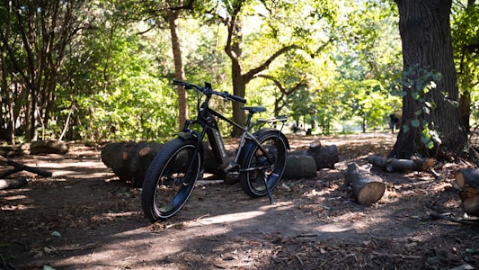 A black electric bicycle stands on a forest path surrounded by cut tree logs. Sunlight filters through the dense canopy of green leaves, casting patterns of light and shadow on the ground.