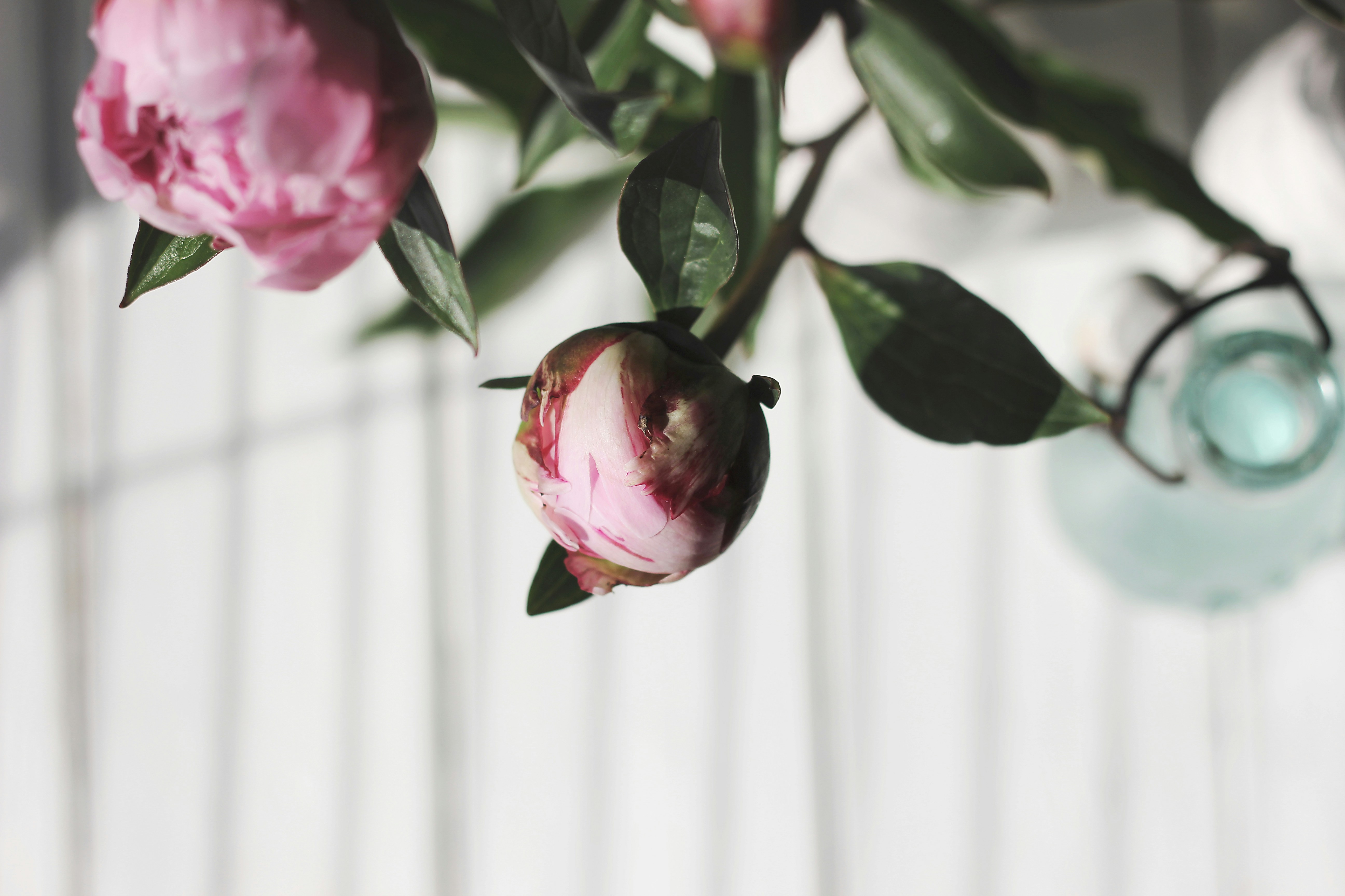 Photo by angelekamp