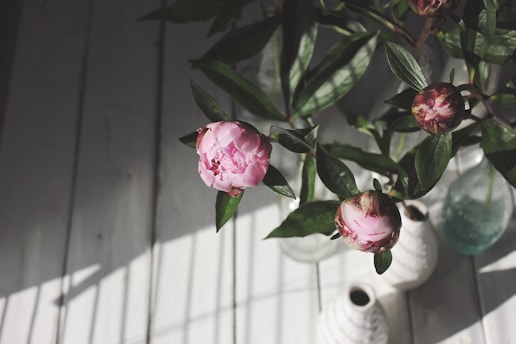 A delicate arrangement of faux peonies and eucalyptus leaves on a rustic wooden table, bathed in soft natural light.