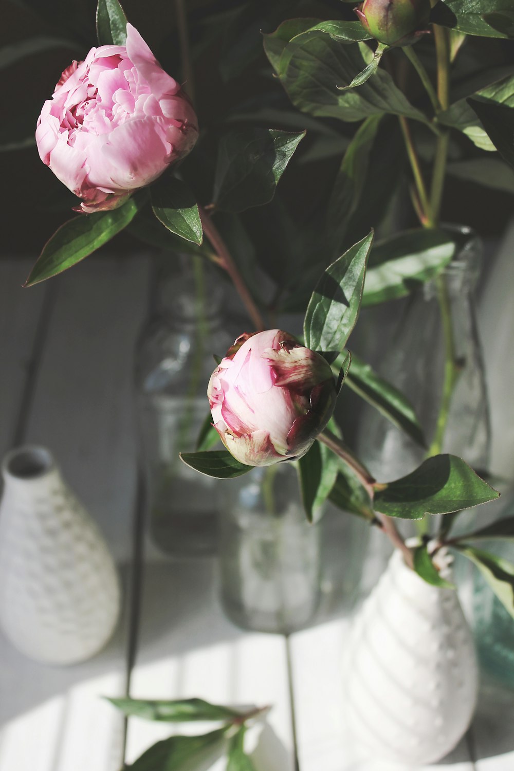 a pink flower in a vase