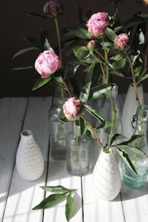 Elegant pink peonies arranged in a glass vase with soft morning sunlight