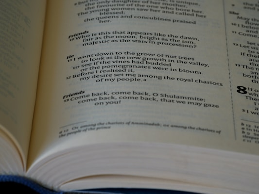 A close-up of an open book displaying text in a poetic format with multiple sections and line numbers, indicating a structured and possibly religious or literary content.