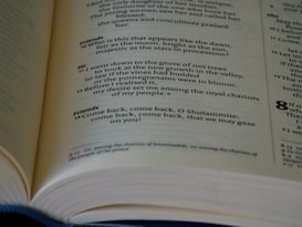 A close-up of an open book displaying text in a poetic format with multiple sections and line numbers, indicating a structured and possibly religious or literary content.