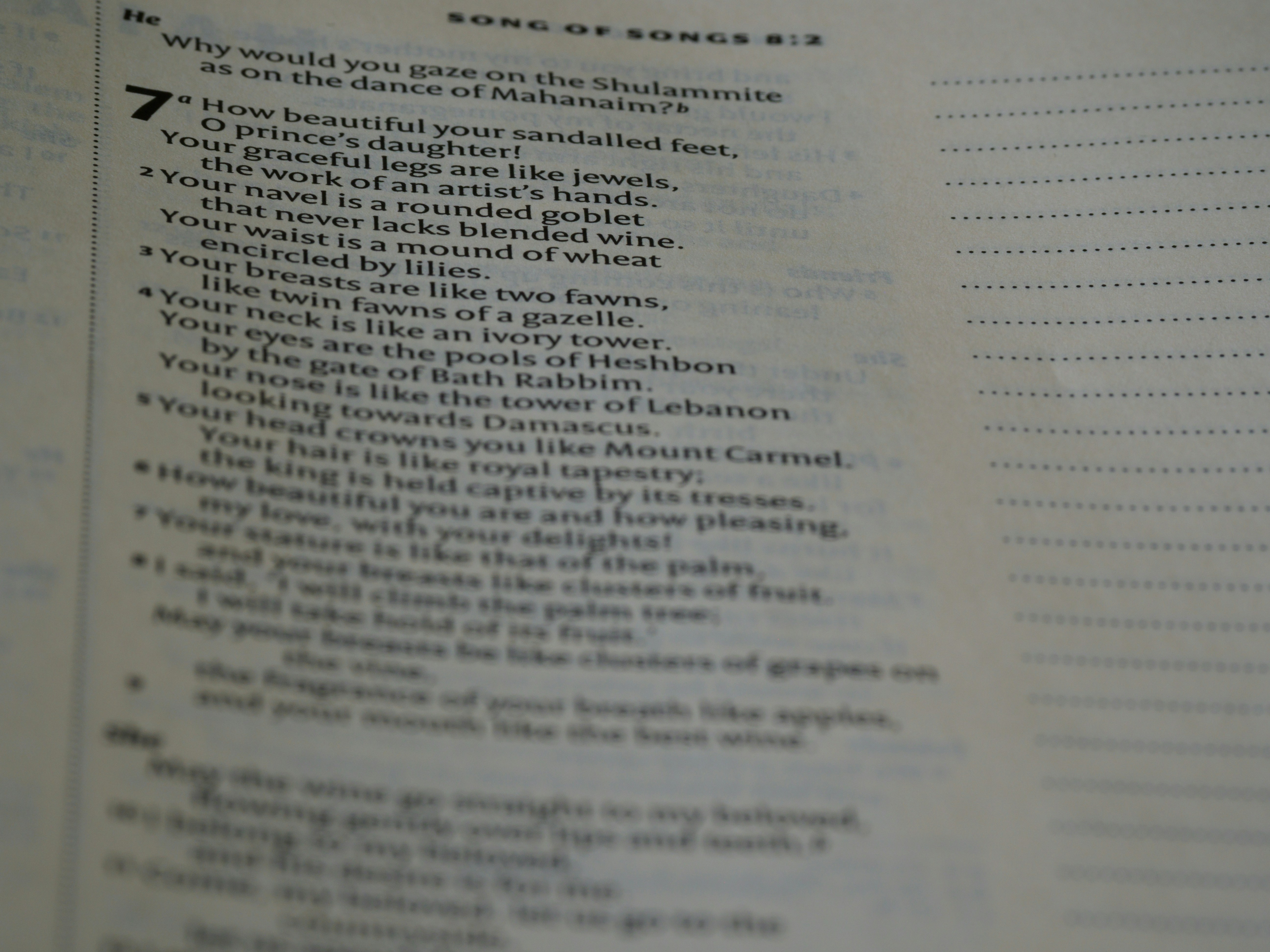 photo-1669967693900-0ae2fea2f549?ixid=M3wxMjA3fDB8MXxzZWFyY2h8MTh8fHRvMTg4JTIwZGFmdGFyfGVufDB8fHx8MTc1NTQ2OTY4OXww\u0026ixlib=rb-4.1.0