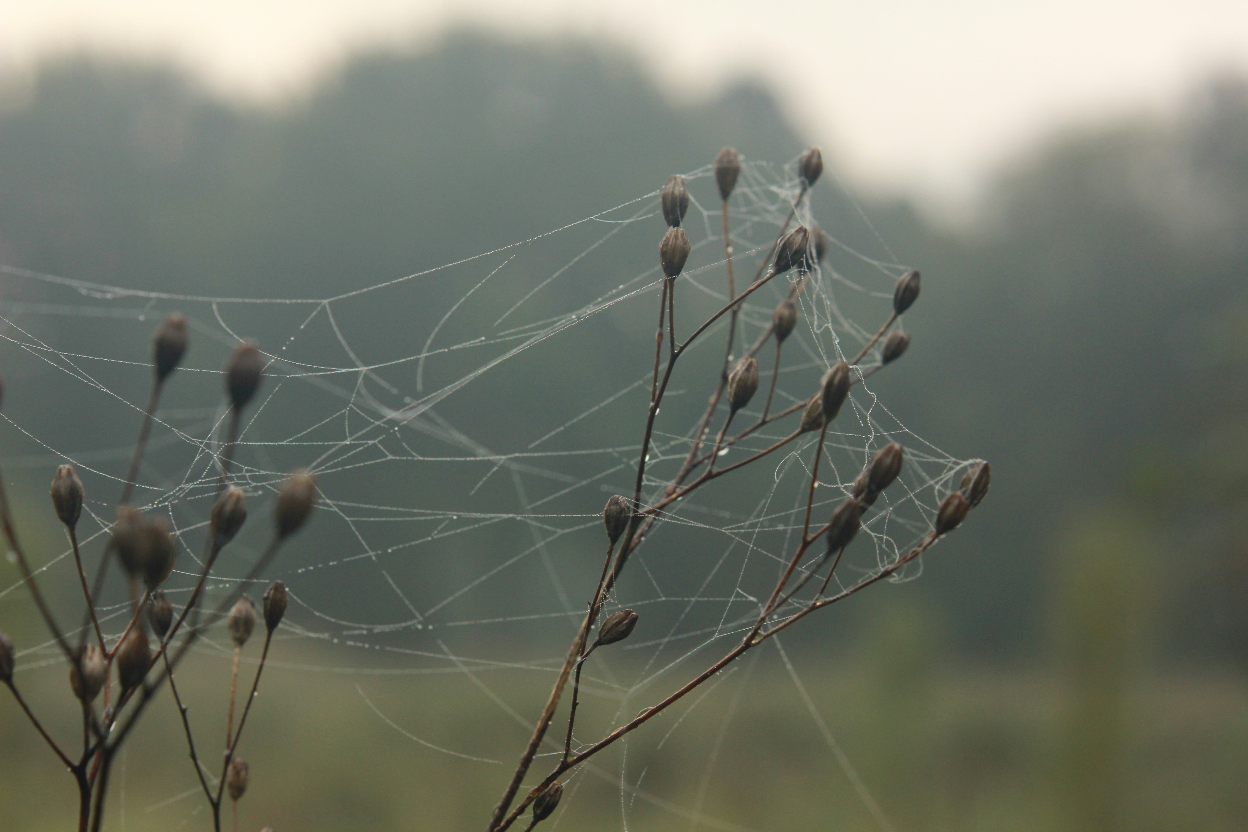 Photo by angelekamp