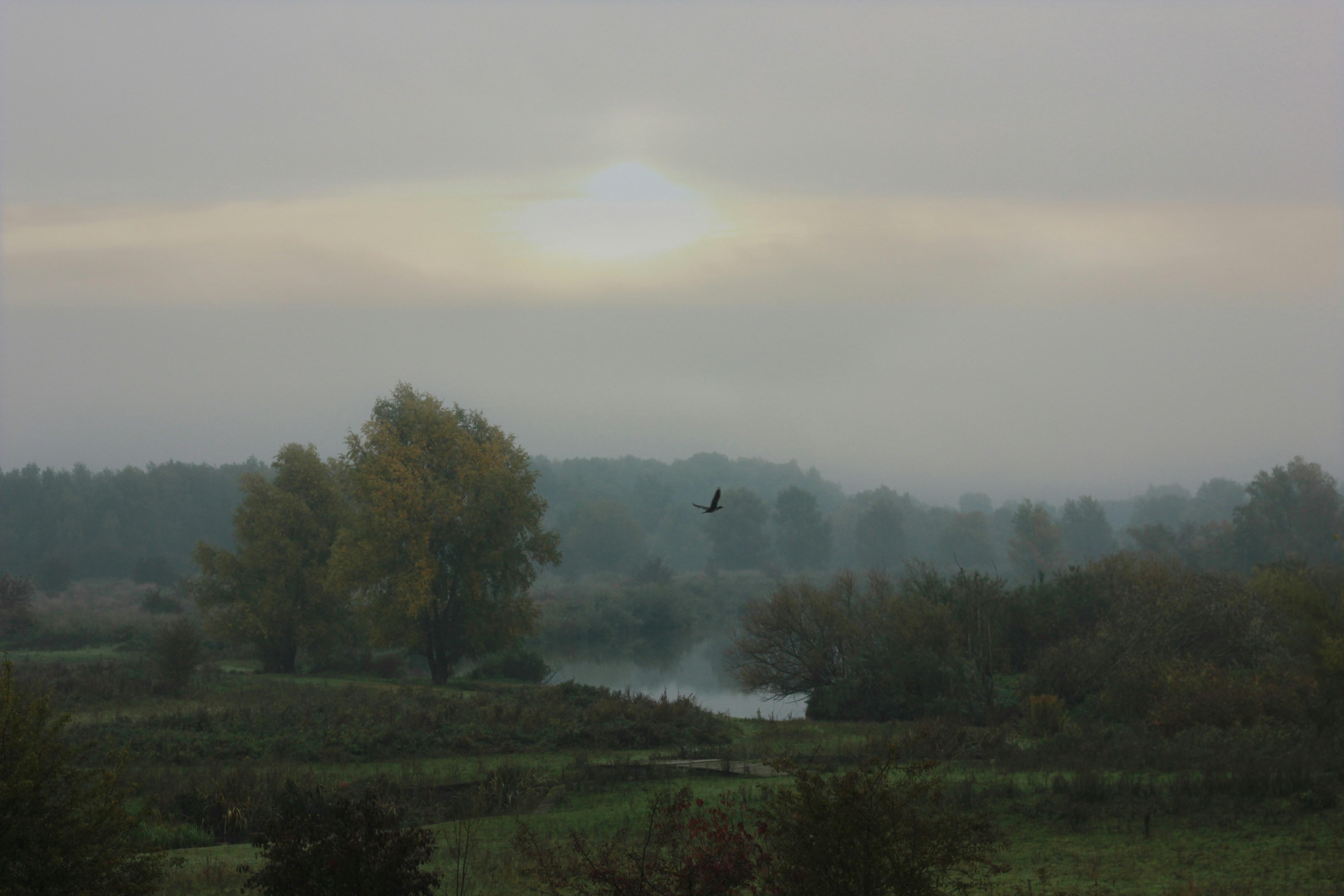 Photo by angelekamp