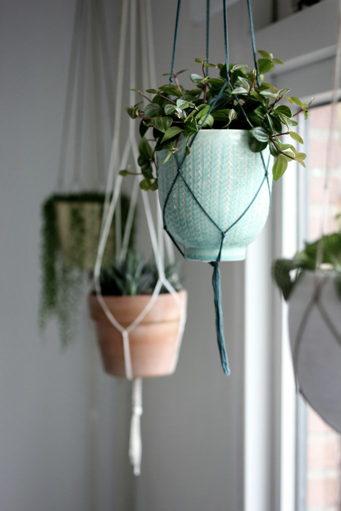 Macrame Plant Hanger